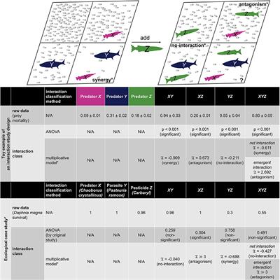 General Form for Interaction Measures and Framework for Deriving Higher-Order Emergent Effects